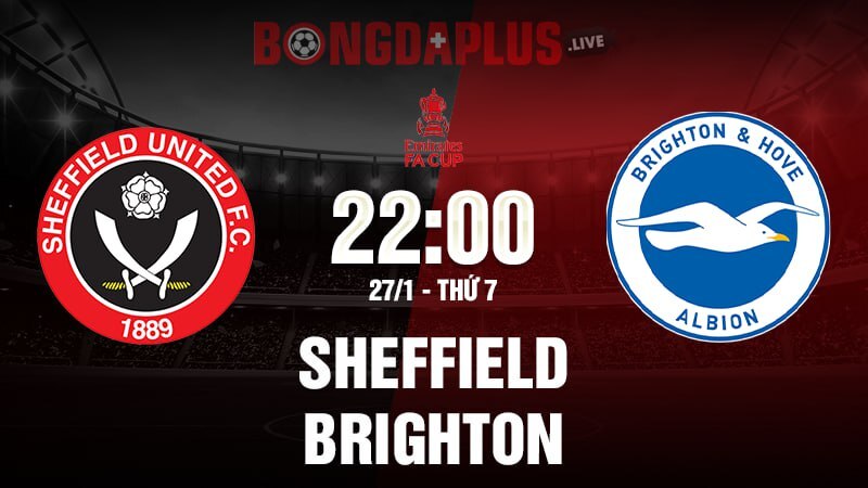 Sheffield United - Brighton